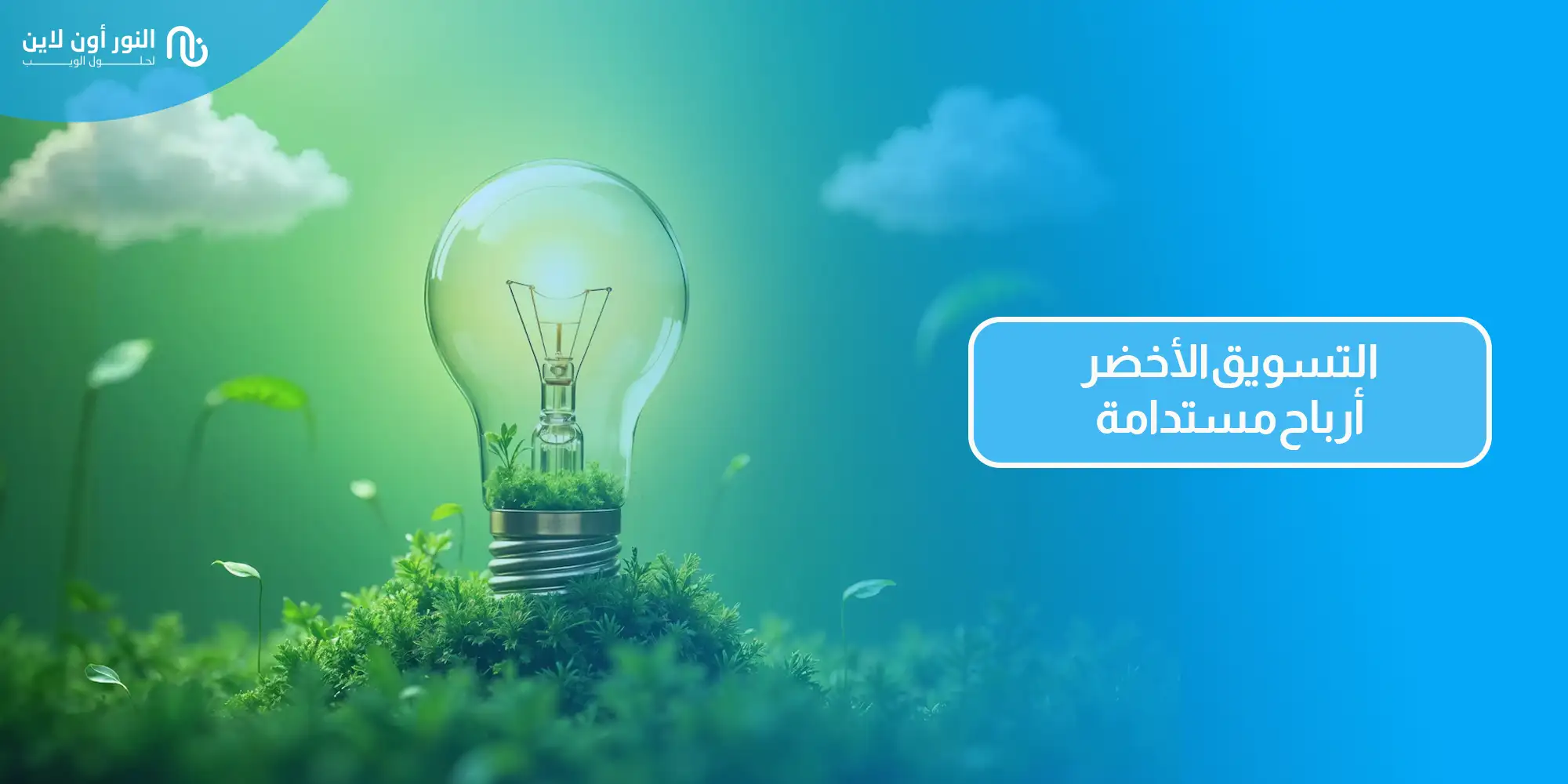أفضل 5 استراتجيات في التسويق الاخضر - Green Marketing